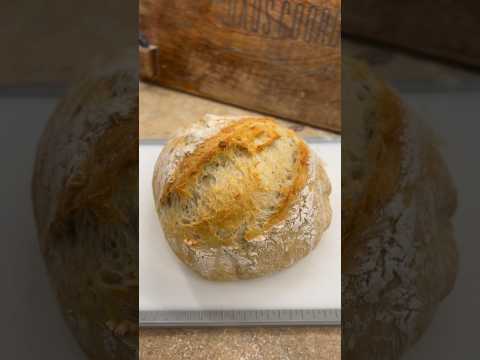 No Knead Dutch Oven Crusty Bread, no sourdough starter and only 4 ingredients