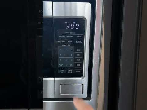 Would you eat this frozen burrito