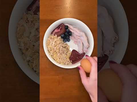 My dog’s raw diet! 🥩🦴🐕