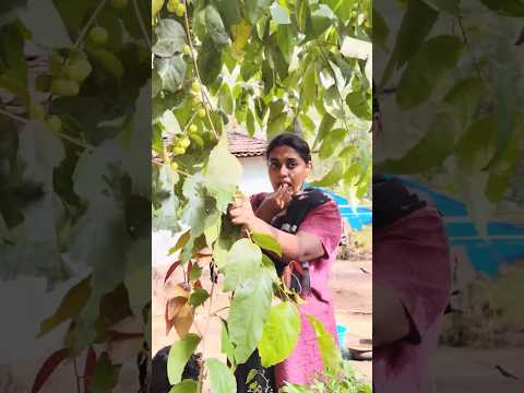 Cherupayar Thoran (Kerala‑Style Stir‑Fried Green Beans)