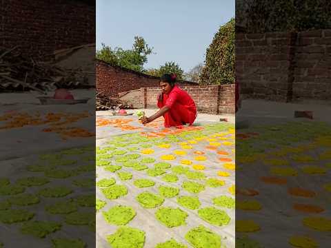 चावल के पापड़ 😍