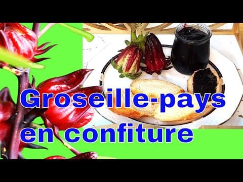 Confiture de Groseilles (Gooseberry Jam)