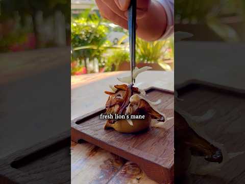Mushroom Waste Pâté (Pafa) with Pickled Shallots, Marinated Tataki & Grilled Sourdough