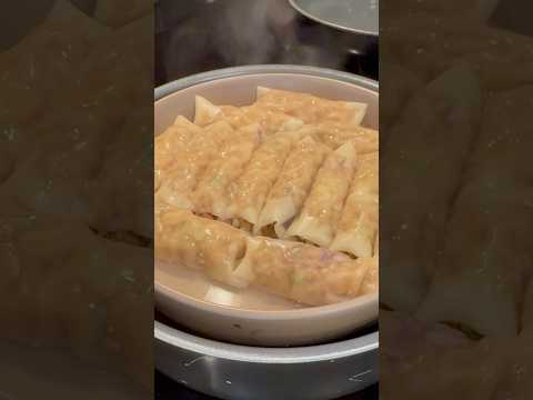 Viral Dumpling lasagna, manicotti style