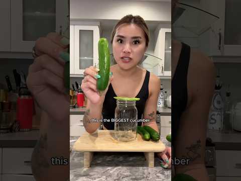 CUCUMBER SALAD IS BACK 🥒