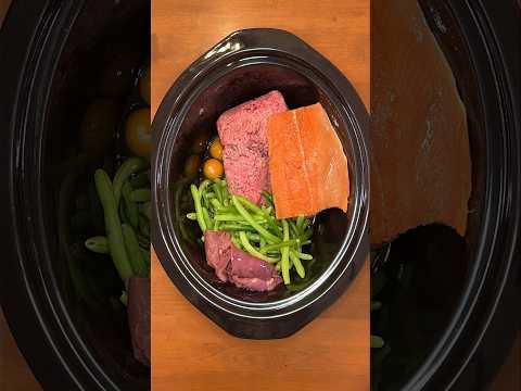 5 ingredient crockpot kibble recipe for dogs! 🥘🐶