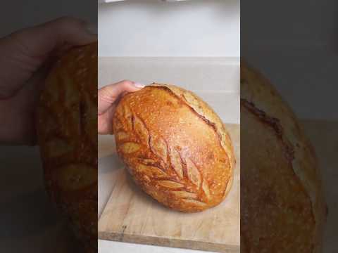 No Stretch & Fold, No Banneton, Lazy AF Sourdough Method