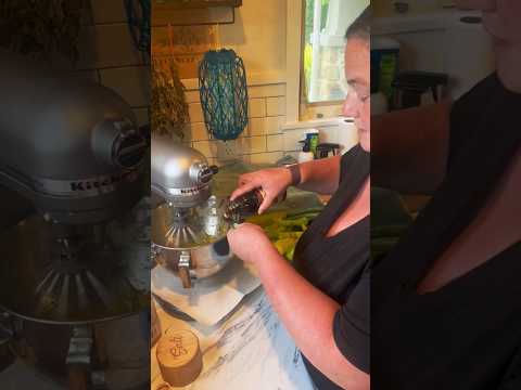 The Worlds BEST Zucchini Bread Recipe!