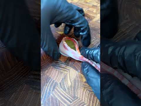 Bacon Wrapped Pickle Shots 👀 on cookingintheyard.com 👍