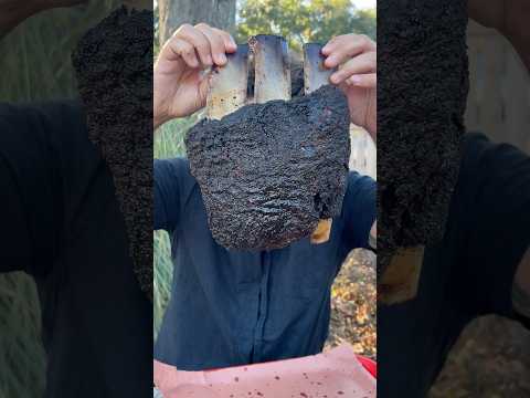 THREE BEEF RIBS IN ONE from Palmira Barbecue in Charleston, SC! 🍖🔥🤤 Who’s hungry?