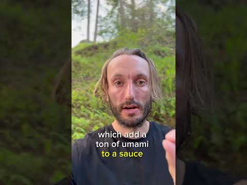 1) Stale bread thickens a tomato sauce quick in a pinch. 2) Parmesan rinds add umami.