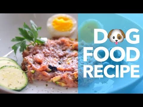 DIY Dog Food Recipe
