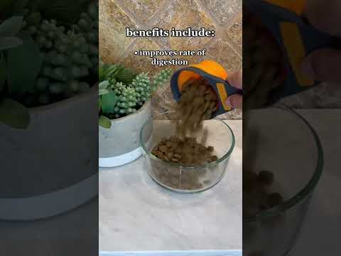 Hydrating Your Dogs Kibble