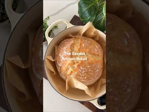 Easy Dutch Oven Bread - Delicious American side dish with easy difficulty. Perfect recipe converted from YouTube video to PDF format.