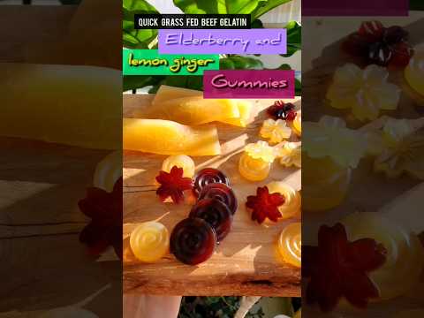 Gummies Recipe using Grassfed Beef Gelatin, Elderberry and Lemon-Ginger