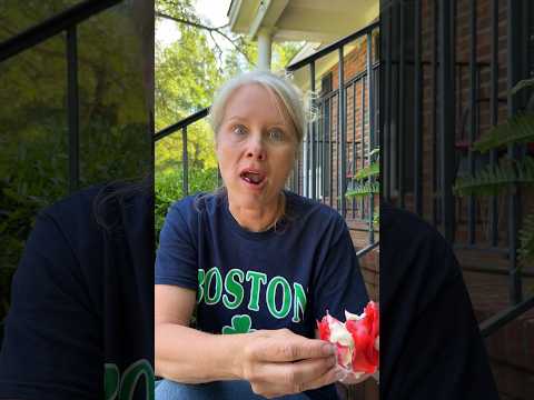 You’ll never guess what happens when you mix Fruit Roll-Ups and Ice Cream 😳