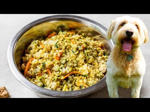 HOMEMADE DOG FOOD