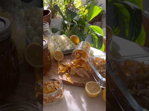 Preserve Lemons Four Ways