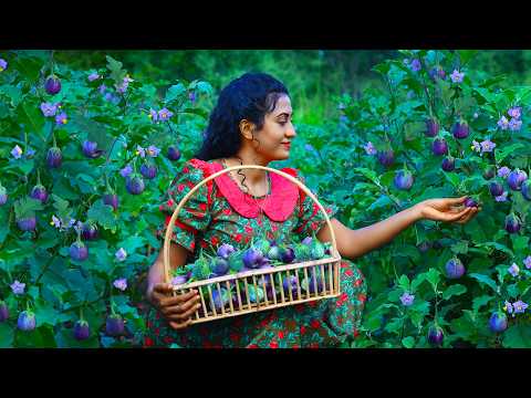 Thai Eggplant Recipes 🍆🥘 For Lunch Time & Popcorn Pudding With Happiness !