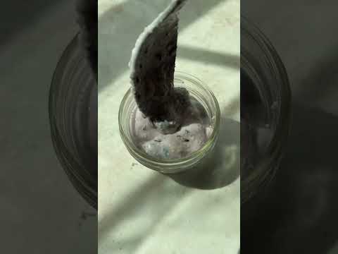 Cottage Cheese Ice Cream vo