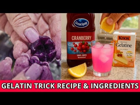 Gelatin Trick Recipe – The Viral 3-Ingredient Weight Loss Trick- Dr. Jennifer Ashton's Gelatin Trick