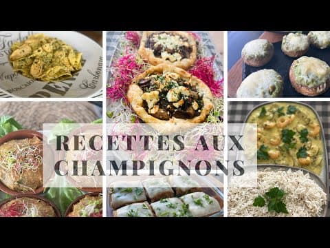 Stuffed mushrooms with goat cheese, pesto sauce and mozzarella - French Main Course Stuffed mushrooms with goat cheese, pesto sauce and mozzarella - Delicious French main course with medium difficulty. Perfect recipe converted from YouTube video to PDF format.