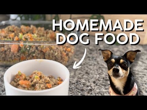 Homemade Balanced Dog Food for Adult Dogs (10‑lb Dog, 9‑Day Supply)