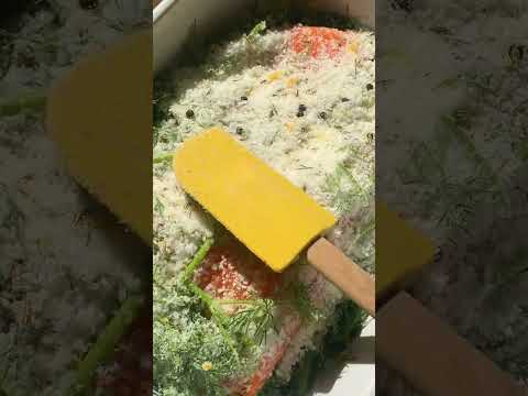 This is how to make gravlax 🐠