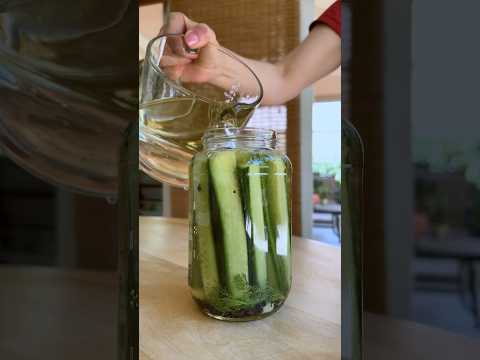 how to make 🥒🫙 Homemade PICKLES