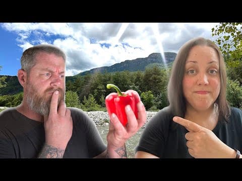 Piperade provençale à l'extérieur