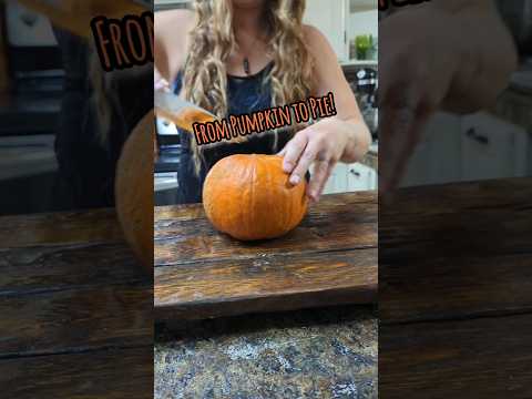 Maple Pumpkin Custard