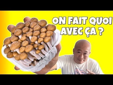 2 recettes avec des shimeji : en soupe et sautés avec du poulet 👌