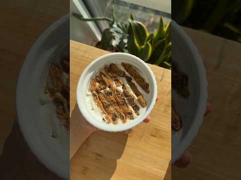 Reviewing the viral 2-ingredient yogurt cheesecake!