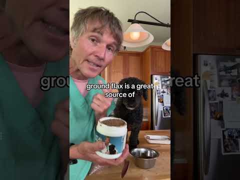 3 safe, healthy and affordable Human Foods for dogs