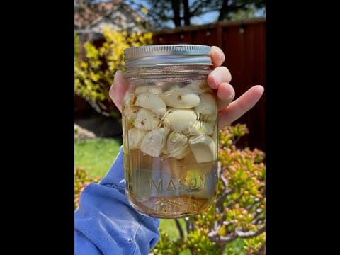 How to make Homemade Pickled Garlic (viral TikTok trend!)
