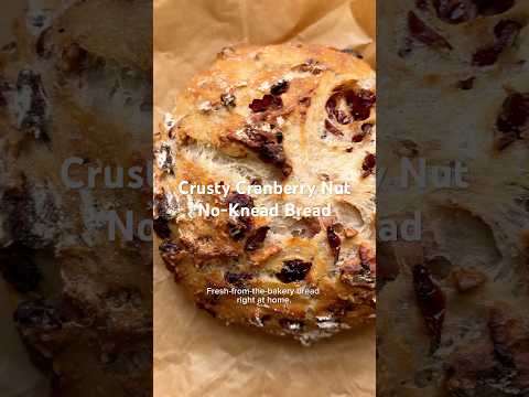 Cranberry Walnut No-Knead Bread - American Bread Cranberry Walnut No-Knead Bread - Delicious American bread with easy difficulty. Perfect recipe converted from YouTube video to PDF format.